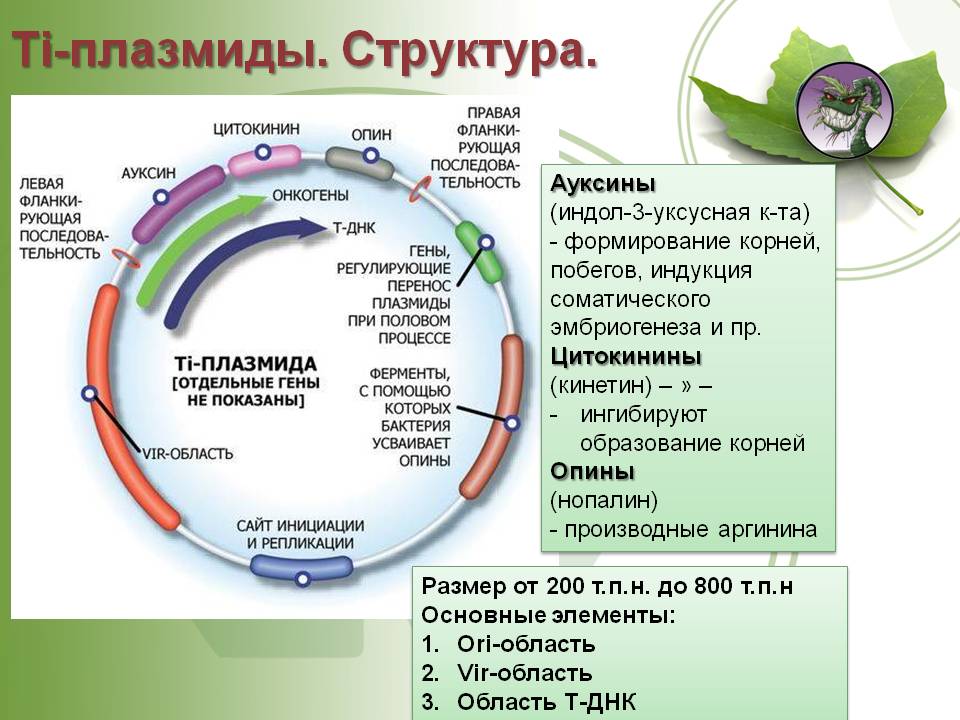 Кракен даркнет только через стор